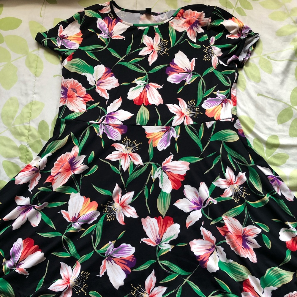Floral skater  Dress 👗 🌼
